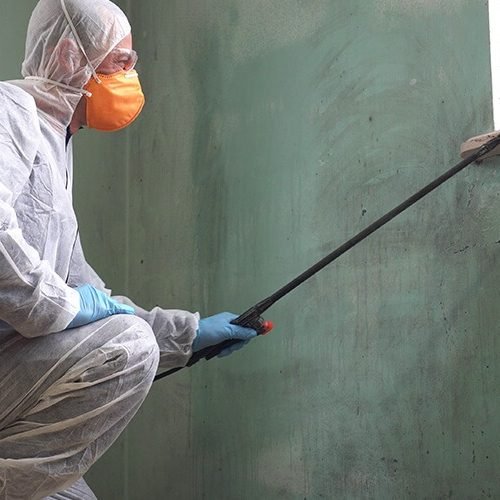 Environmental Hazard Abatement