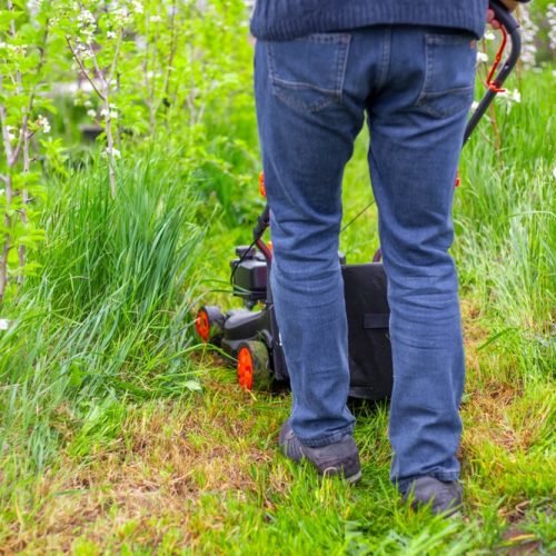 A,Man,Mows,The,Grass,On,A,Path,Between,Rows
